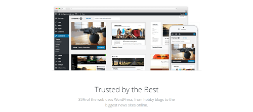 WordPress themes