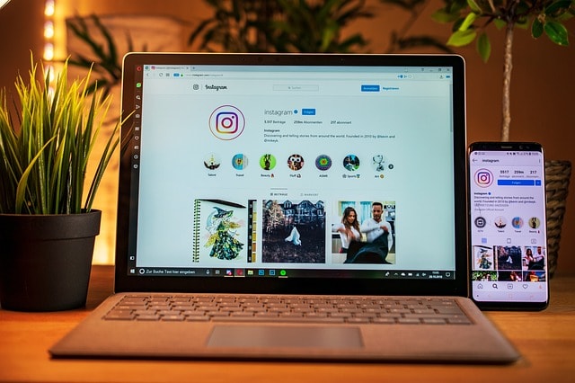 Taking Your Niche and Audience Into Consideration