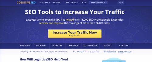Cognitive SEO