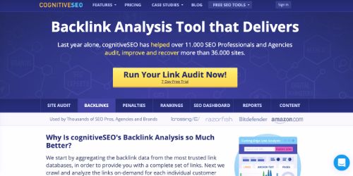 Best SEO Tools: cognitive SEO