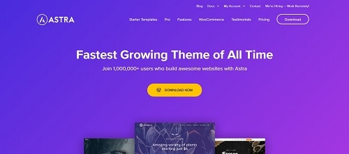 Best WordPress Theme for eCommerce Sites: Astra