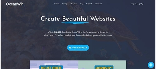 Best WordPress Theme for Beginners: OceanWP
