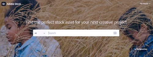 Adobe Stock
