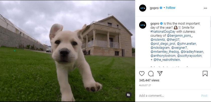 GoPro