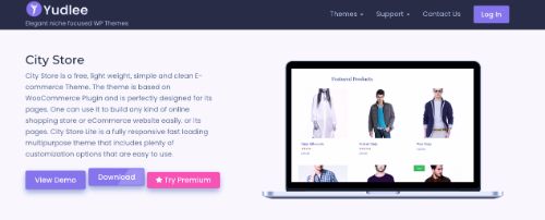 Best WordPress eCommerce Themes: City Store